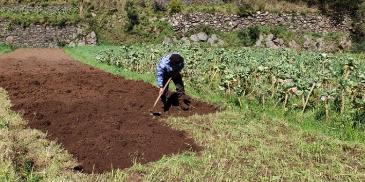 Agricultura