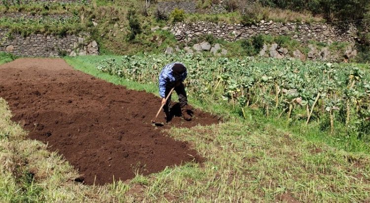 Agricultura