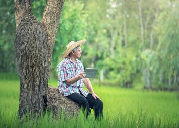 agricultor