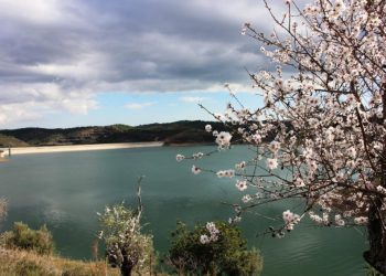 Algarve