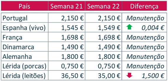 bolsa porco 21