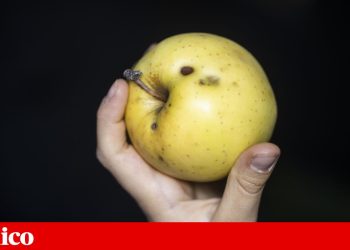 fruta feia