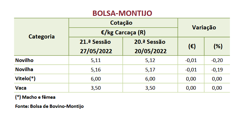 Cotações Bovinos