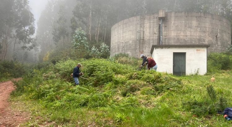 levada
