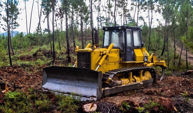 maquinária floresta