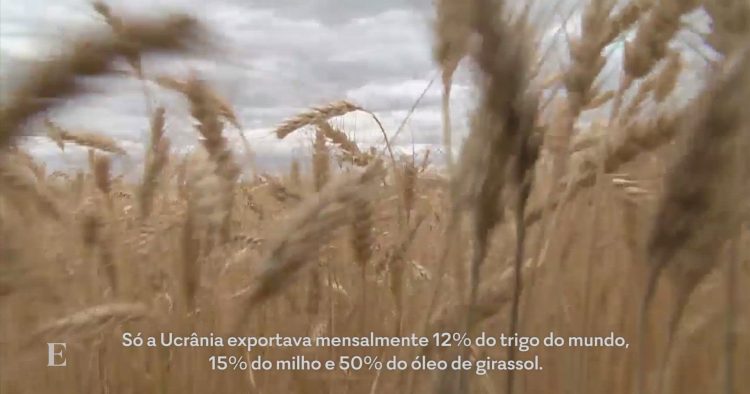 Economia dia a dia: A escassez de cereais