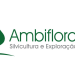 ambiflora