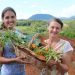 Aos jovens agricultores: vocês têm a inteligência para acabar com a fome no mundo