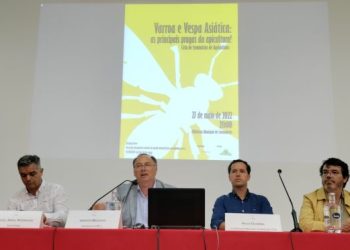 Cantanhede promoveu seminário sobre Varroa e Vespa Asiática