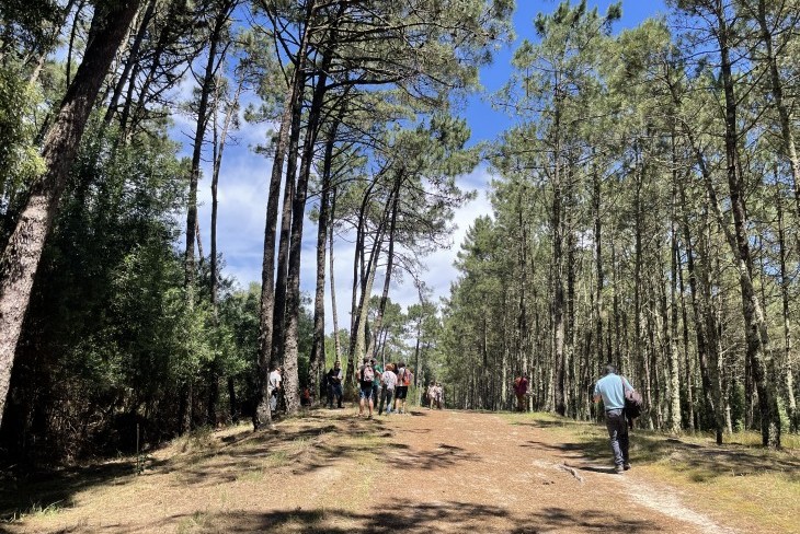 Centro Pinus assinala Dia Mundial do Ambiente com iniciativa dirigida à Sociedade