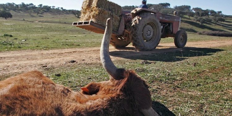 Combustíveis: CNA diz que situação é insustentável