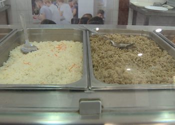 Comida à base de insetos chegou às cantinas do Instituto Politécnico de Lisboa