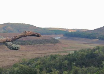 Dia mundial do ambiente. Em nome de “Uma só Terra”, a Zero propõe quatro objetivos prioritários para Portugal