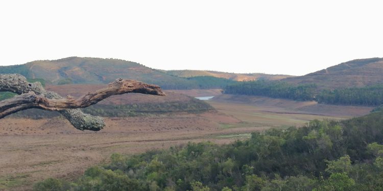 Dia mundial do ambiente. Em nome de “Uma só Terra”, a Zero propõe quatro objetivos prioritários para Portugal