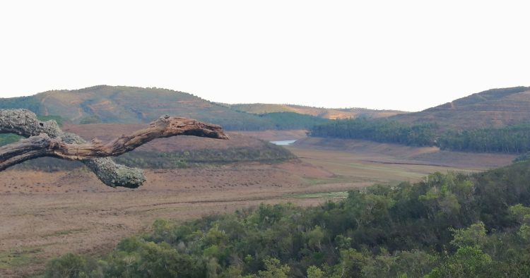 Dia mundial do ambiente. Em nome de “Uma só Terra”, a Zero propõe quatro objetivos prioritários para Portugal