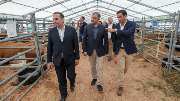 Governo dos Açores satisfeito com sucesso da Feira Agrícola Açores 2022