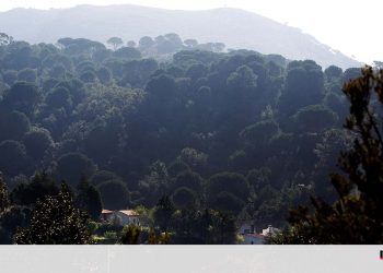 Governo lança nova aplicação para identificação de terras