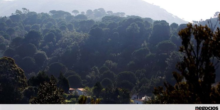 Governo lança nova aplicação para identificação de terras