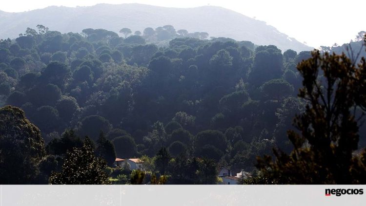 Governo lança nova aplicação para identificação de terras