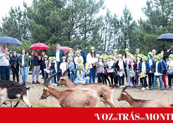 Incêndios são a maior ameaça para o Parque Natural do Alvão