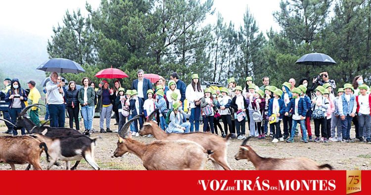 Incêndios são a maior ameaça para o Parque Natural do Alvão