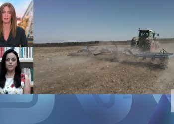 Instrumentalização dos alimentos é "quase como um ataque objetivo , uma arma, um míssil"