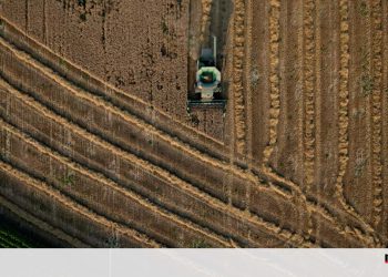 Mundo vai produzir menos cereais, mas consumir mais