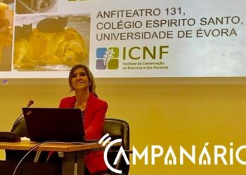 “O importante é que o bem estar animal esteja na agenda da sociedade, poder político e do estado” diz Provedora do Animal, Laurentina Pedroso
