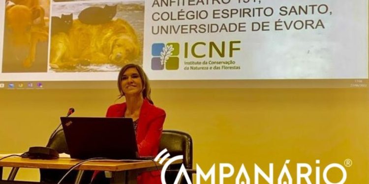 “O importante é que o bem estar animal esteja na agenda da sociedade, poder político e do estado” diz Provedora do Animal, Laurentina Pedroso