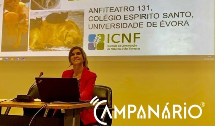 “O importante é que o bem estar animal esteja na agenda da sociedade, poder político e do estado” diz Provedora do Animal, Laurentina Pedroso