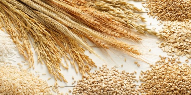 ONU quer facilitar exportação de cereais russos