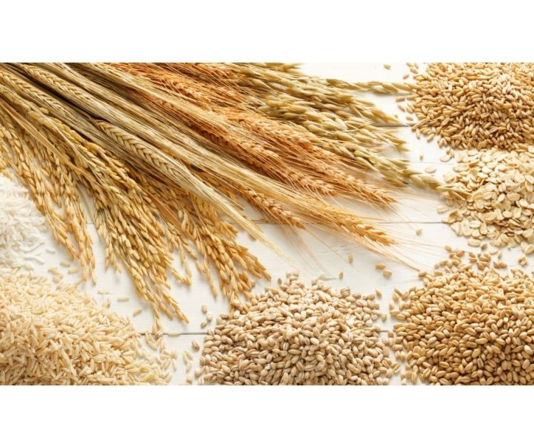 ONU quer facilitar exportação de cereais russos