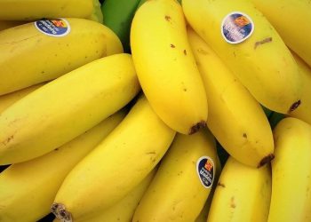 Madeira: Produção agrícola de cana-de-açúcar e banana diminuiu em 2021