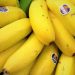 Madeira: Produção agrícola de cana-de-açúcar e banana diminuiu em 2021