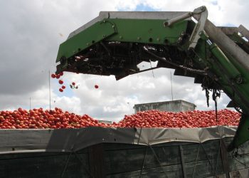 Prorrogado prazo de candidatura ao concurso “Excelência da Organização da Produção”