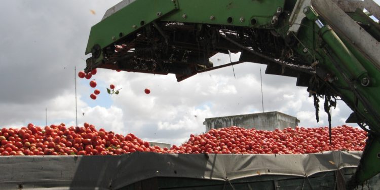 Prorrogado prazo de candidatura ao concurso “Excelência da Organização da Produção”