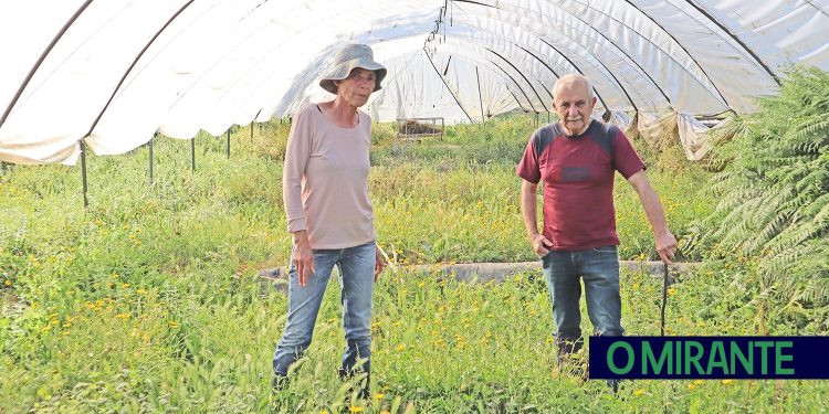 Santa Margarida vive pesadelo por causa da utilização de herbicida perigoso