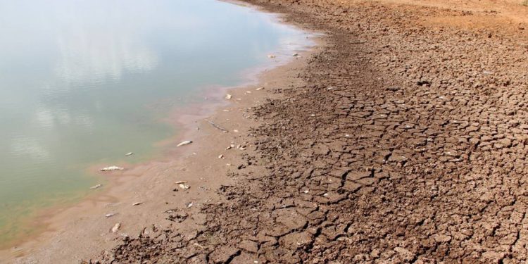 Seca vai trazer restrições no verão