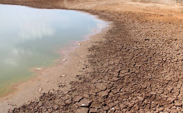 Seca vai trazer restrições no verão