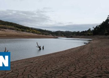 Treze albufeiras estão abaixo dos 40% de capacidade