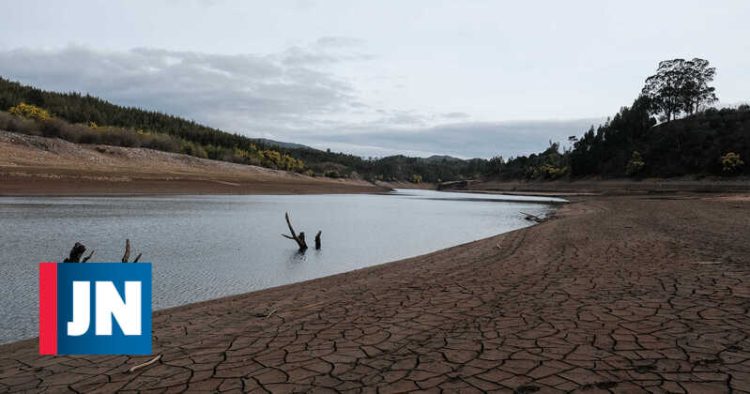 Treze albufeiras estão abaixo dos 40% de capacidade