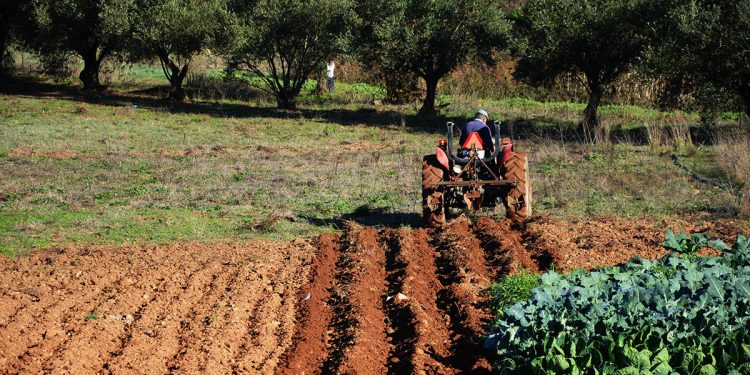 Vicentina abre novos concursos para apoiar Pequenos Investimentos na Exploração Agrícola