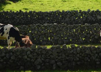 Açores