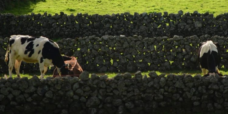 Açores
