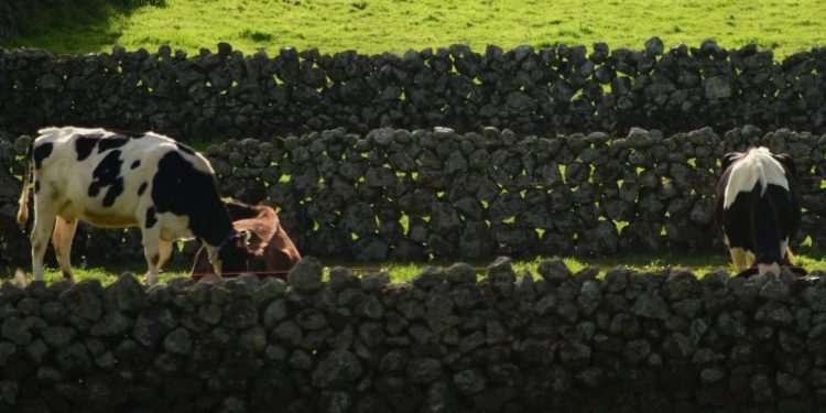 Açores