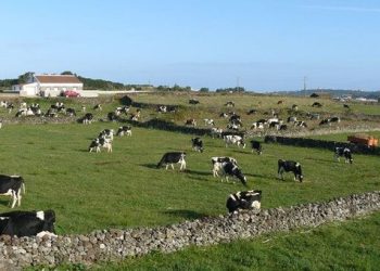 Ilha terceira