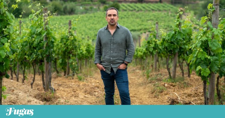 Vinho bairrada