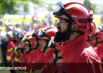 bombeiros