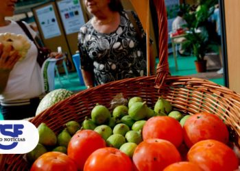 Porto, 07/10/2011: Feira Nacional de agricultura biológica no Pavilhão Rosa Mota
( Lisa Soares / Global Imagens )