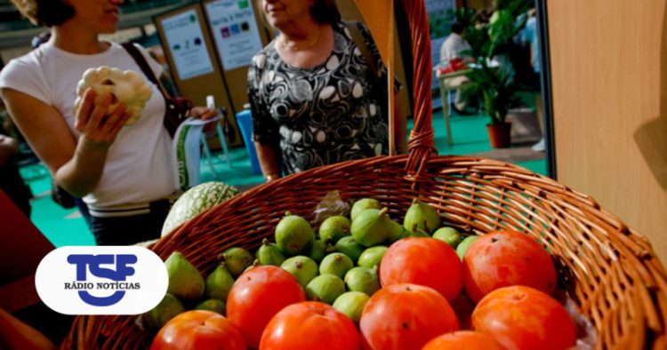 Porto, 07/10/2011: Feira Nacional de agricultura biológica no Pavilhão Rosa Mota
( Lisa Soares / Global Imagens )